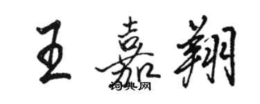 駱恆光王嘉翔行書個性簽名怎么寫