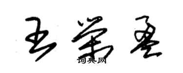 朱錫榮王榮盈草書個性簽名怎么寫