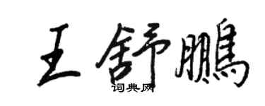 王正良王舒鵬行書個性簽名怎么寫