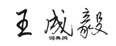 駱恆光王成毅行書個性簽名怎么寫