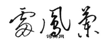 駱恆光雷鳳蘭草書個性簽名怎么寫