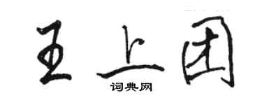 駱恆光王上團行書個性簽名怎么寫