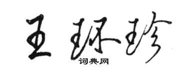 駱恆光王環珍行書個性簽名怎么寫