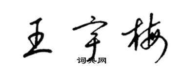 梁錦英王宇梅草書個性簽名怎么寫