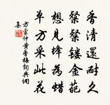 石橋水洞今猶在,借問主人還有無 詩詞名句