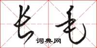 駱恆光長毛草書怎么寫
