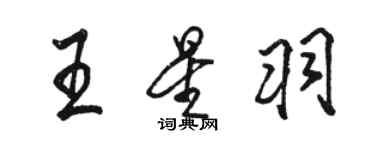 駱恆光王星羽行書個性簽名怎么寫