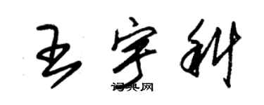 朱錫榮王宇科草書個性簽名怎么寫