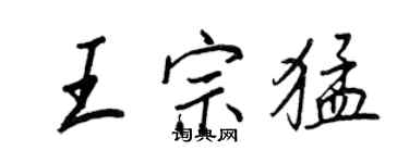 王正良王宗猛行書個性簽名怎么寫
