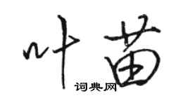 駱恆光葉苗行書個性簽名怎么寫