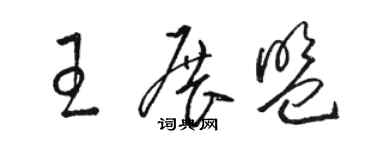 駱恆光王展盟草書個性簽名怎么寫