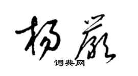 梁錦英楊嚴草書個性簽名怎么寫