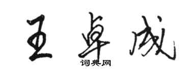 駱恆光王卓成行書個性簽名怎么寫