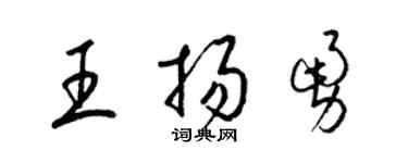 梁錦英王揚勇草書個性簽名怎么寫