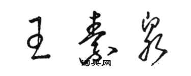 駱恆光王素泉草書個性簽名怎么寫