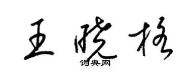 梁錦英王曉格草書個性簽名怎么寫
