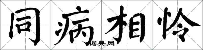 翁闓運同病相憐楷書怎么寫