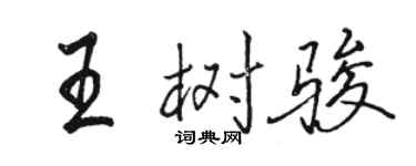 駱恆光王樹駿行書個性簽名怎么寫