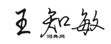 駱恆光王知敏行書個性簽名怎么寫