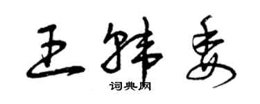 曾慶福王韓委草書個性簽名怎么寫