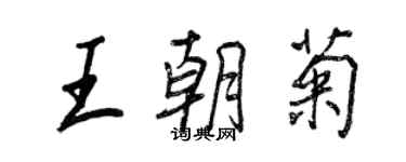 王正良王朝菊行書個性簽名怎么寫