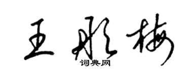 梁錦英王彤梅草書個性簽名怎么寫