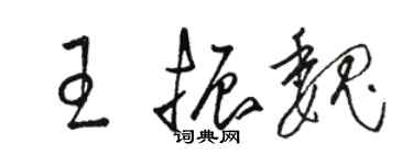 駱恆光王振魏草書個性簽名怎么寫