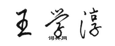 駱恆光王學淳行書個性簽名怎么寫
