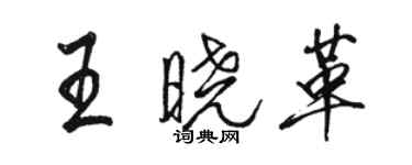 駱恆光王曉革行書個性簽名怎么寫