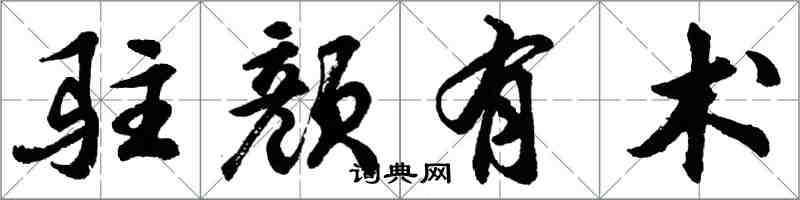 胡問遂駐顏有術行書怎么寫