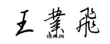 王正良王業飛行書個性簽名怎么寫