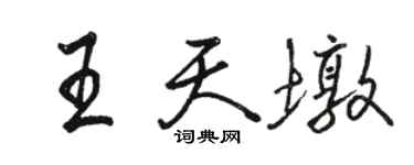駱恆光王天墩行書個性簽名怎么寫