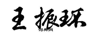 胡問遂王振環行書個性簽名怎么寫