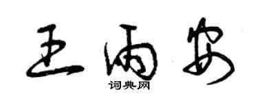 曾慶福王雨安草書個性簽名怎么寫