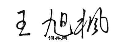 駱恆光王旭楓草書個性簽名怎么寫