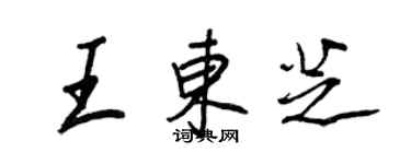 王正良王東芝行書個性簽名怎么寫
