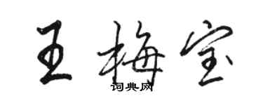 駱恆光王梅寶行書個性簽名怎么寫