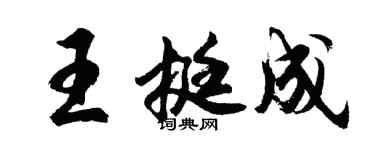 胡問遂王挺成行書個性簽名怎么寫