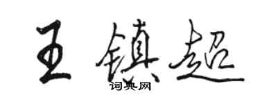 駱恆光王鎮超行書個性簽名怎么寫