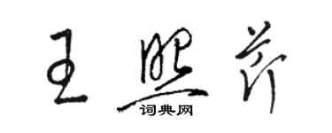 駱恆光王照芹草書個性簽名怎么寫