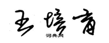 朱錫榮王培育草書個性簽名怎么寫