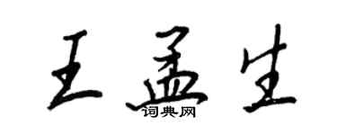 王正良王孟生行書個性簽名怎么寫