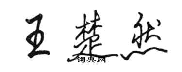 駱恆光王楚然行書個性簽名怎么寫