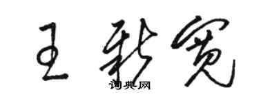 駱恆光王新寬草書個性簽名怎么寫