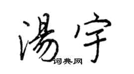 王正良湯宇行書個性簽名怎么寫
