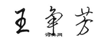 駱恆光王爭芳行書個性簽名怎么寫