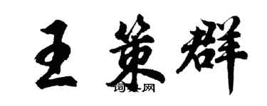 胡問遂王策群行書個性簽名怎么寫