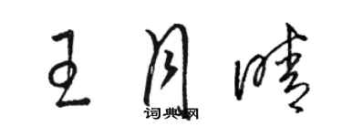 駱恆光王月晴草書個性簽名怎么寫