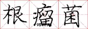 龐中華根瘤菌楷書怎么寫