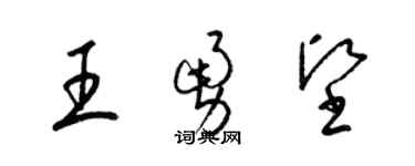 梁錦英王勇堅草書個性簽名怎么寫